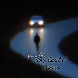 Why Cant I Know by Devin Aki