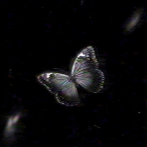empty. - Slowed & Reverb by Nereus Alvin, Revolt Belabuana