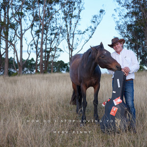 How Do I Stop Loving You by Merv Pinny