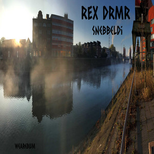 Zippeldi by REX DRMR Album Cover