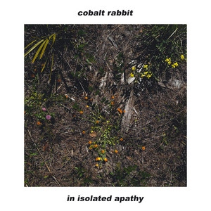 cloudy by Cobalt Rabbit