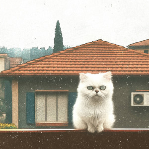 Suburban Cat