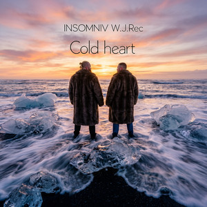 Cold Heart by INSOMNIV, W.J.Rec