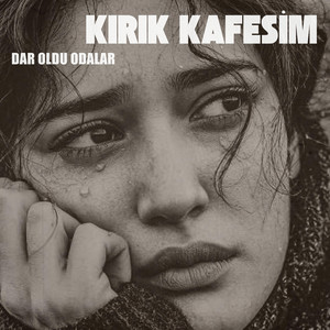 Retroya - Dar Oldu Odalar Kırık Kafesim (70s anatolian rock)