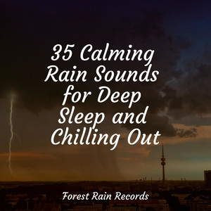 35 Calming Rain Sounds for Deep Sleep and Chilling Out album