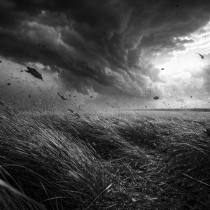Place And Time by David D Sanders