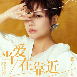 当爱在靠近 - DJ版 by 魏佳艺