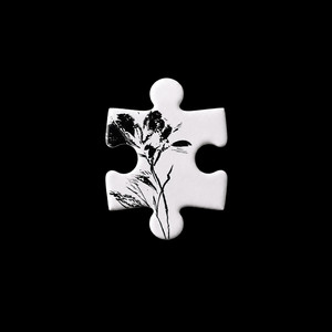 Angst & Xans by NoVanityy, Icy