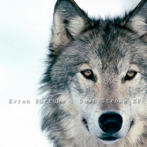 Evren Furtuna - Some Things Are Left to Say (Version 2)