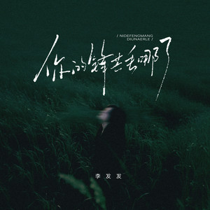 李发发 - 你的锋芒丢哪了