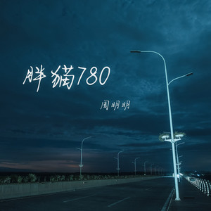 胖猫780 by 周明明