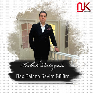 Babək Quluzadə - Bax Beləcə Sevim Gülüm
