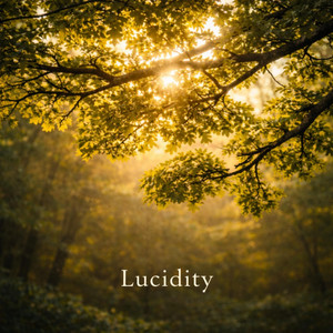 Lucidity by Zacharin Whitestone