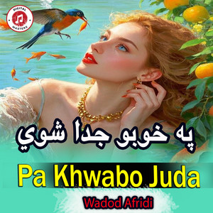 Wadod Afridi - Pa Khwabo Juda