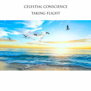 Taking Flight