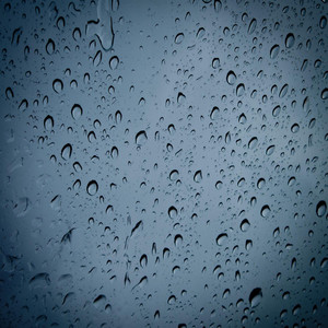 Summer Rain D by Anna Thompson