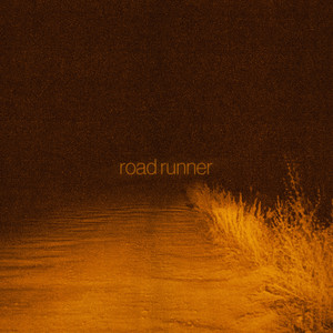 road runner † by NYXON