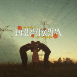 Portada de Perfecta