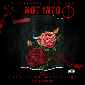 Portada de Not Into