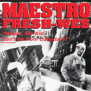 Fine Tune da Mic - song and lyrics by Maestro Fresh Wes | Spotify