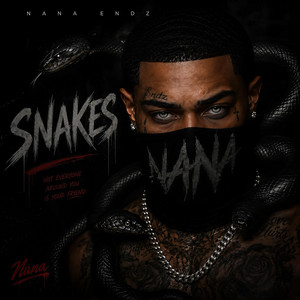 Snakes by Nana Endz