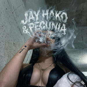 Jay by Pecunia, Hako