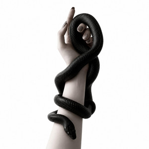Your Venom by Nessa Wavv