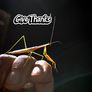 Give Thanks by Rusto Camacho