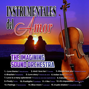Somos Novios by Imagining Sound Orchestra