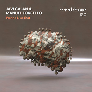 Wanna Like That - Radio Edit by Javi Galan, Manuel Torcello