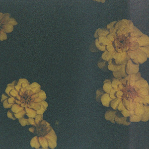 Flora by Loafy Building
