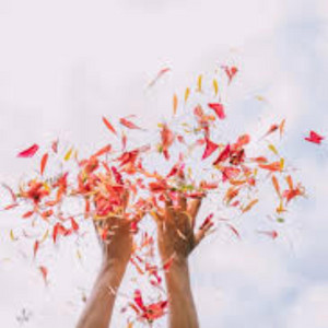 Wind in the Petals Part1 by KAQU MC