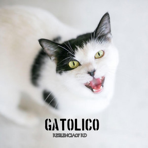 Resiliencia07 Rd - GATOLICO