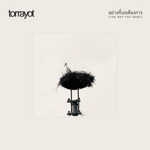 อย่างที่เธอต้องการ (The Way You Want) by torrayot