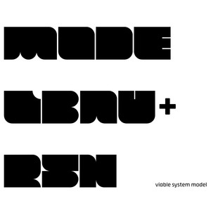 album cover: viable system model