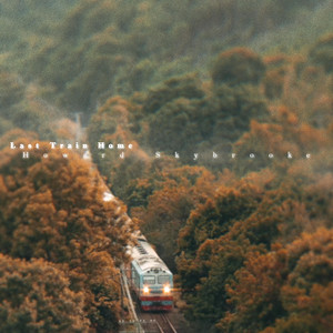 Last Train Home by Howard Skybrooke