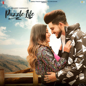 Puzzle Life by Sharry Hassan, Streetboy