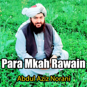 Abdul Aziz Norani - Bahiar Melimano
