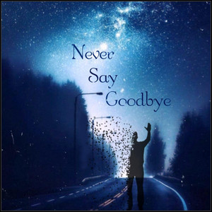 Never Say Goodbye by The Red Knights