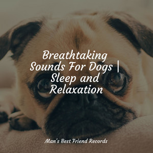 Breathtaking Sounds For Dogs | Sleep and Relaxation album