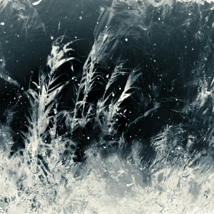 Confusions n Illusions by I.N.Kognito Album Cover
