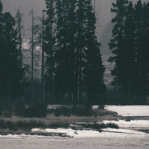Rain through the silence by Auralis Sol