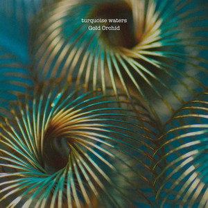 Gold Orchid by turquoise waters