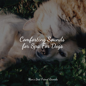 Comforting Sounds for Spa For Dogs album