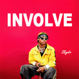 Skydio - Involve