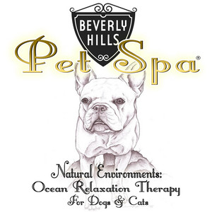 Natural Environments: Ocean Relaxation Therapy for Dogs & Cats