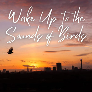 Wake Up to the Sounds of Birds album