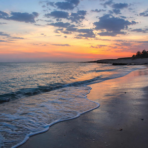 The Shore by Tressa Kwes