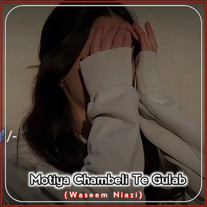 Waseem Niazi - Motiya Chambeli Te Gulab