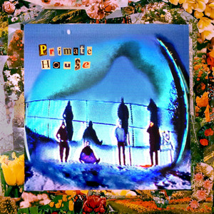 Numb Skull by Primate House